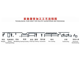 棗莊家禽屠宰工藝流程當(dāng)前